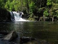Abrams Falls