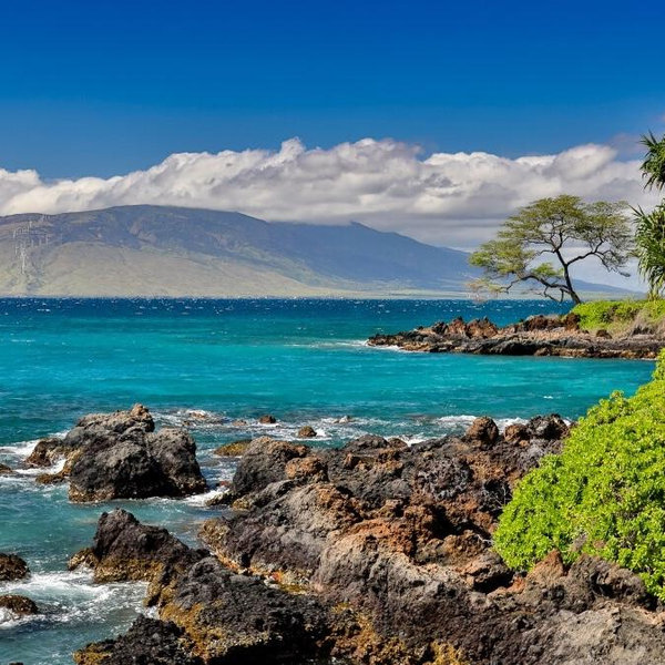 Our Honeymoon Fund (Maui)
