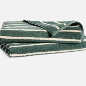 Super-Plush Turkish Cotton Hand Towels (Set of 2)