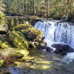 Whatcom Falls