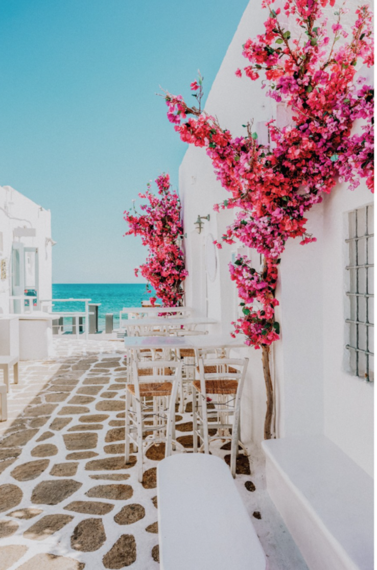 The Wedding Website of Scarlett Camargo and Robert Alicea