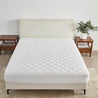 Eckhart Down Alternative Waterproof Mattress Pad