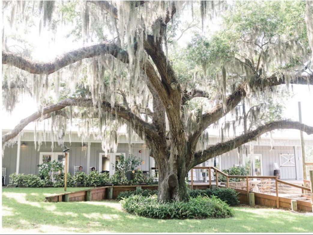 The Wedding Website of Kelley Pulda and William Rossman