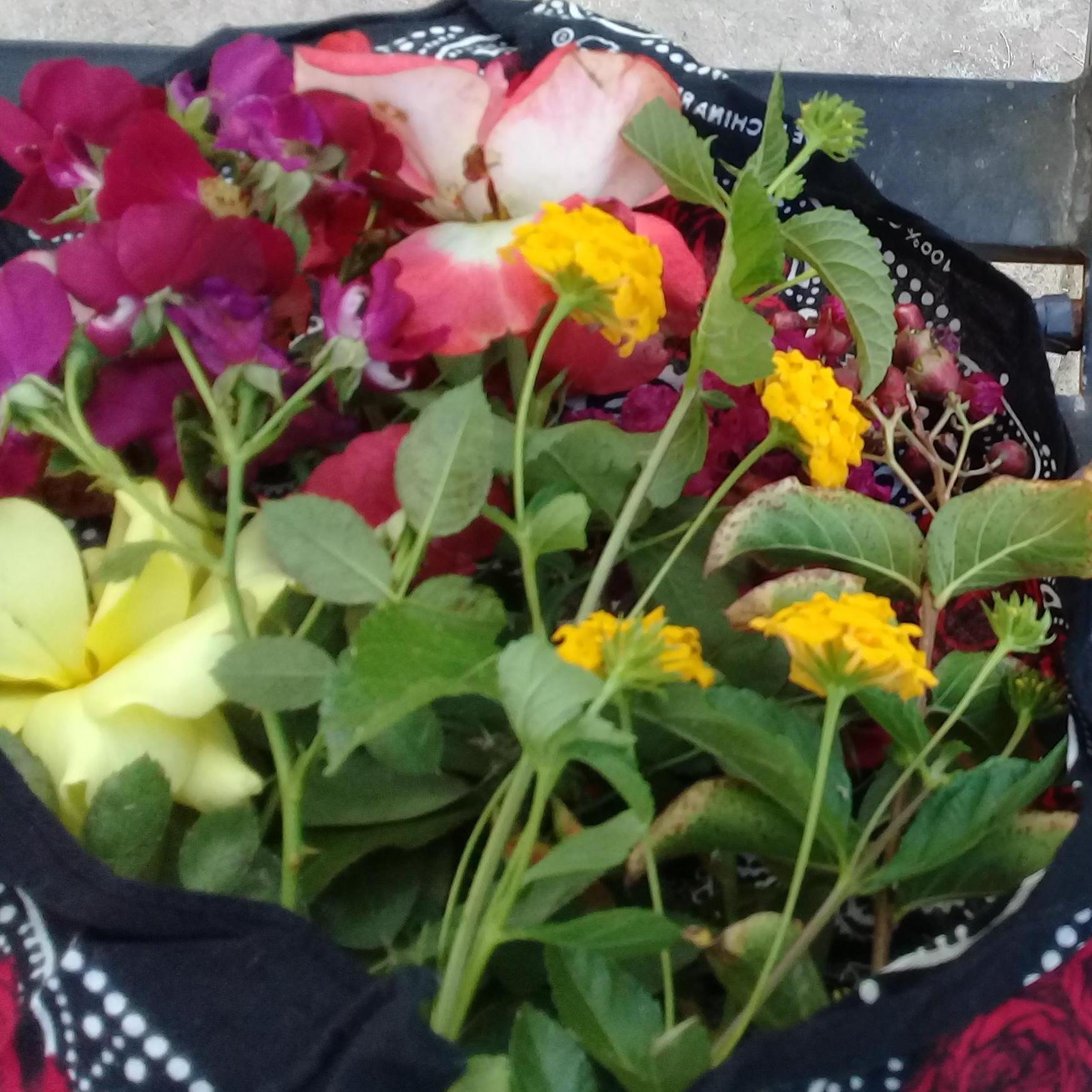 One of my favorite things Matt always does for me is collect flowers to make me a bouquet.