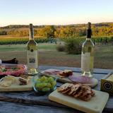 Arrington Vineyards