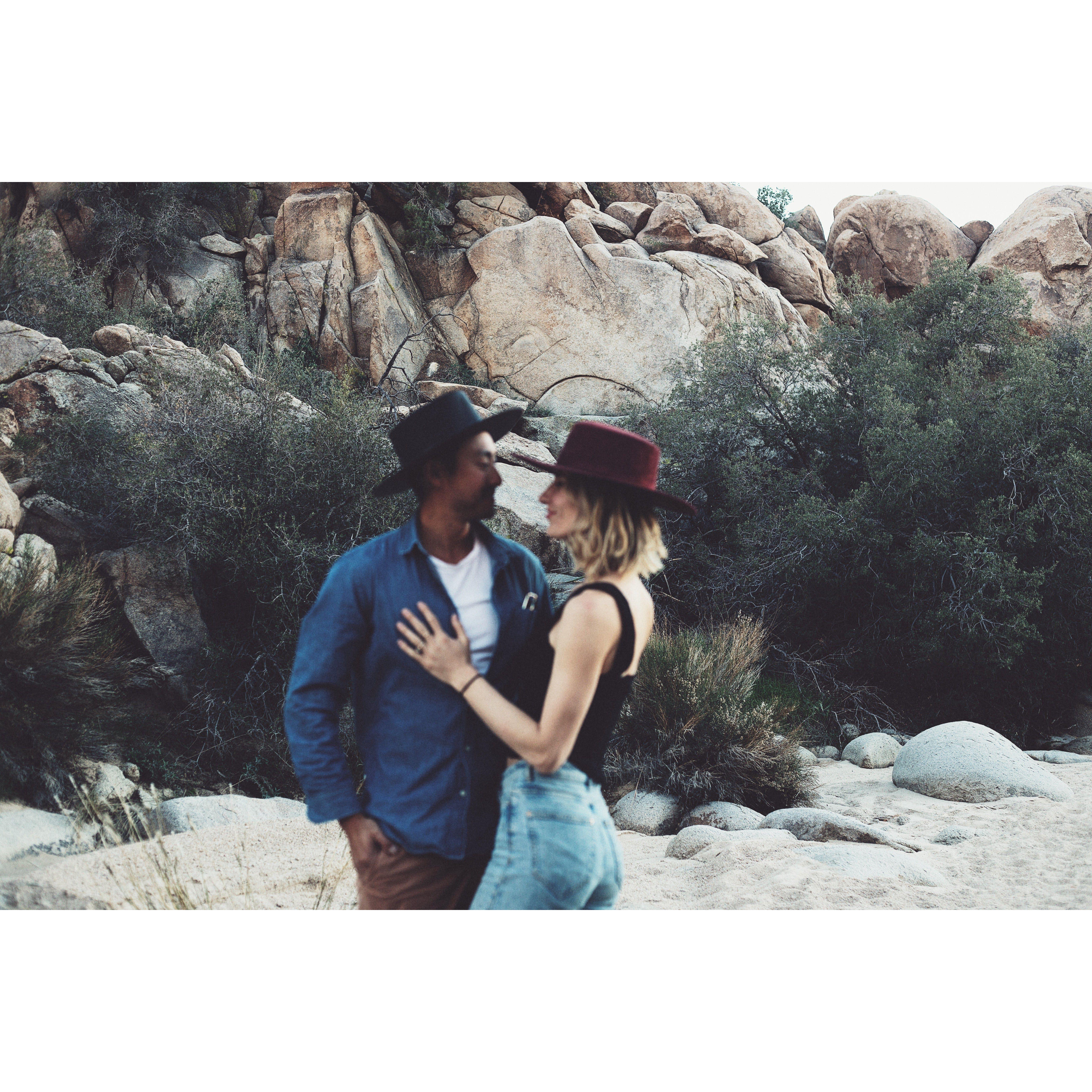 Joshua Tree 2022