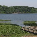 Sippo Lake Park-East