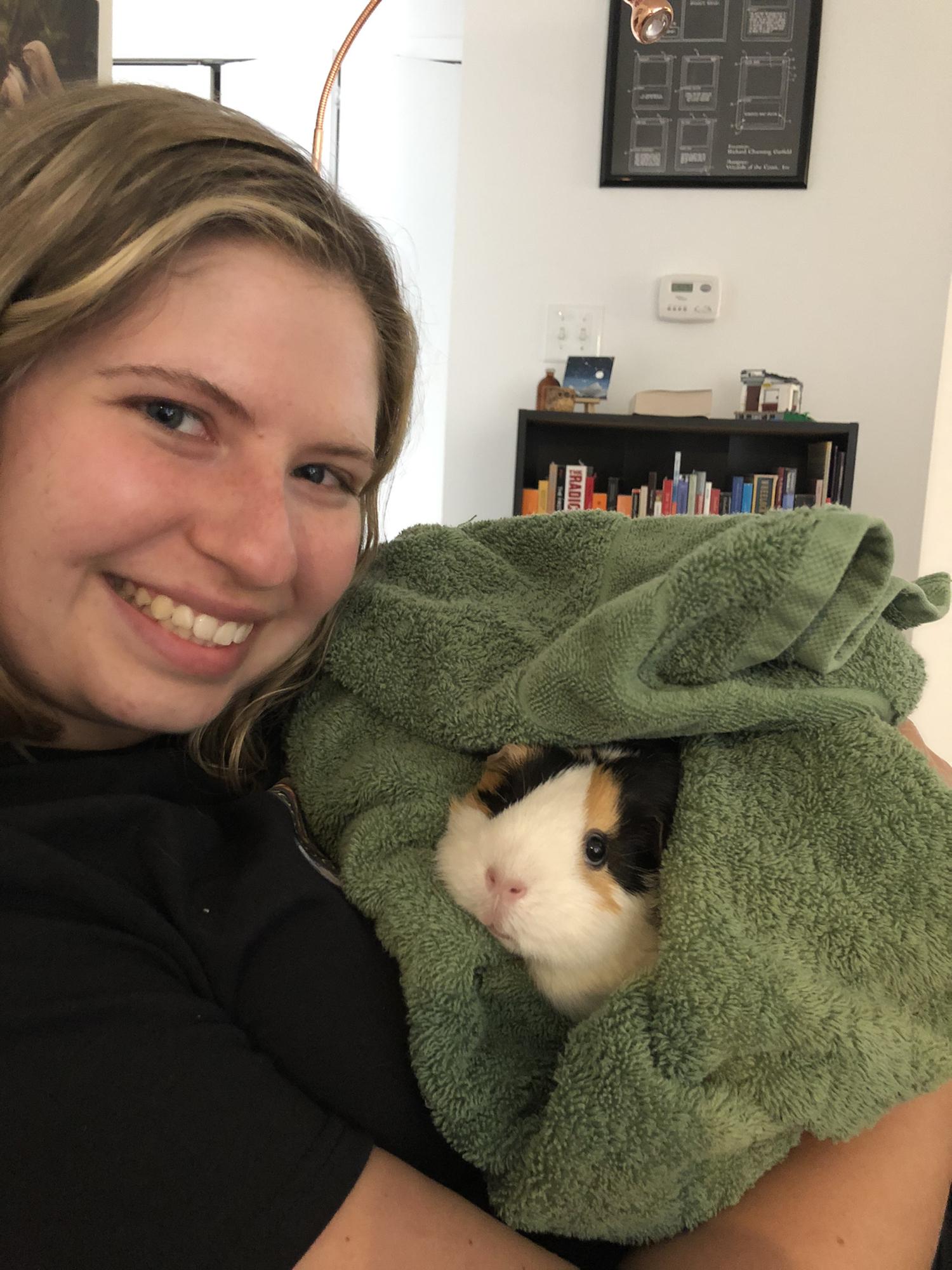 One of our guinea pigs, Chai.