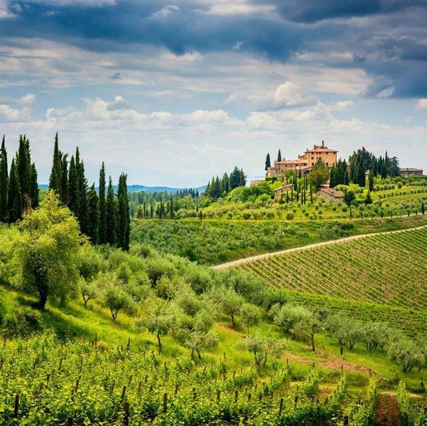 Tuscan Wine Tour