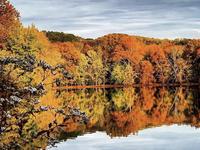 Radnor Lake State Park