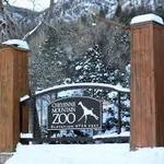 Cheyenne Mountain Zoo