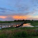 Sweetwater Wetlands Park