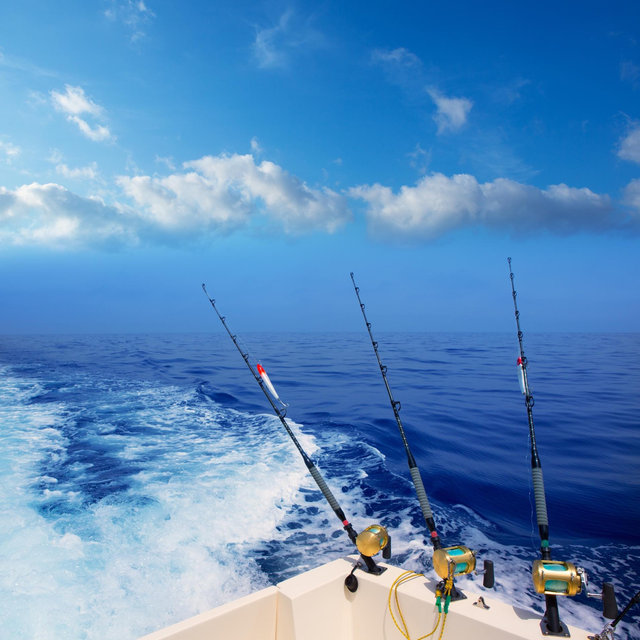 Maui Deep Sea Fishing