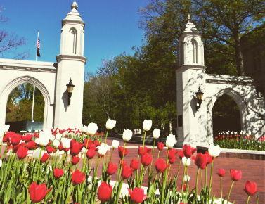 The Wedding Website of Anna Francesca Kulwicki and Nikola Tatic