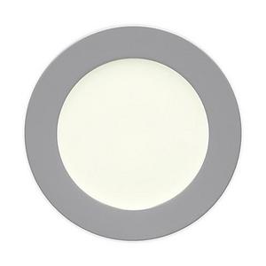 Noritake® Colorwave Rim Dinner Plate in Slate