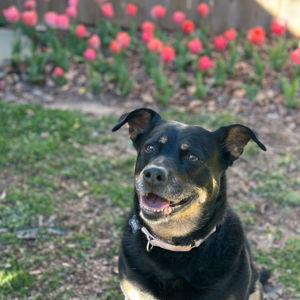 Landscaping and house fund