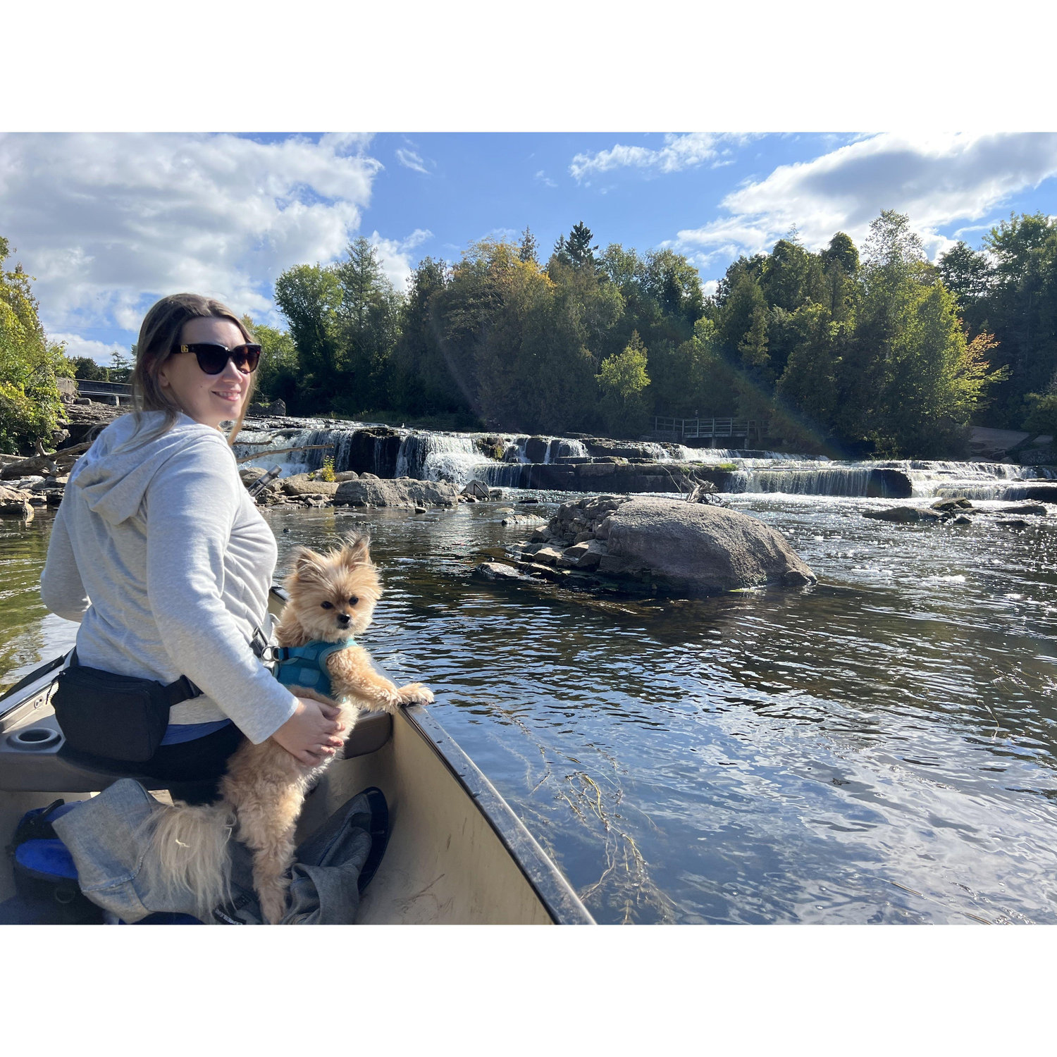Sauble Falls! Water so clear Gizmo was watching the fish.