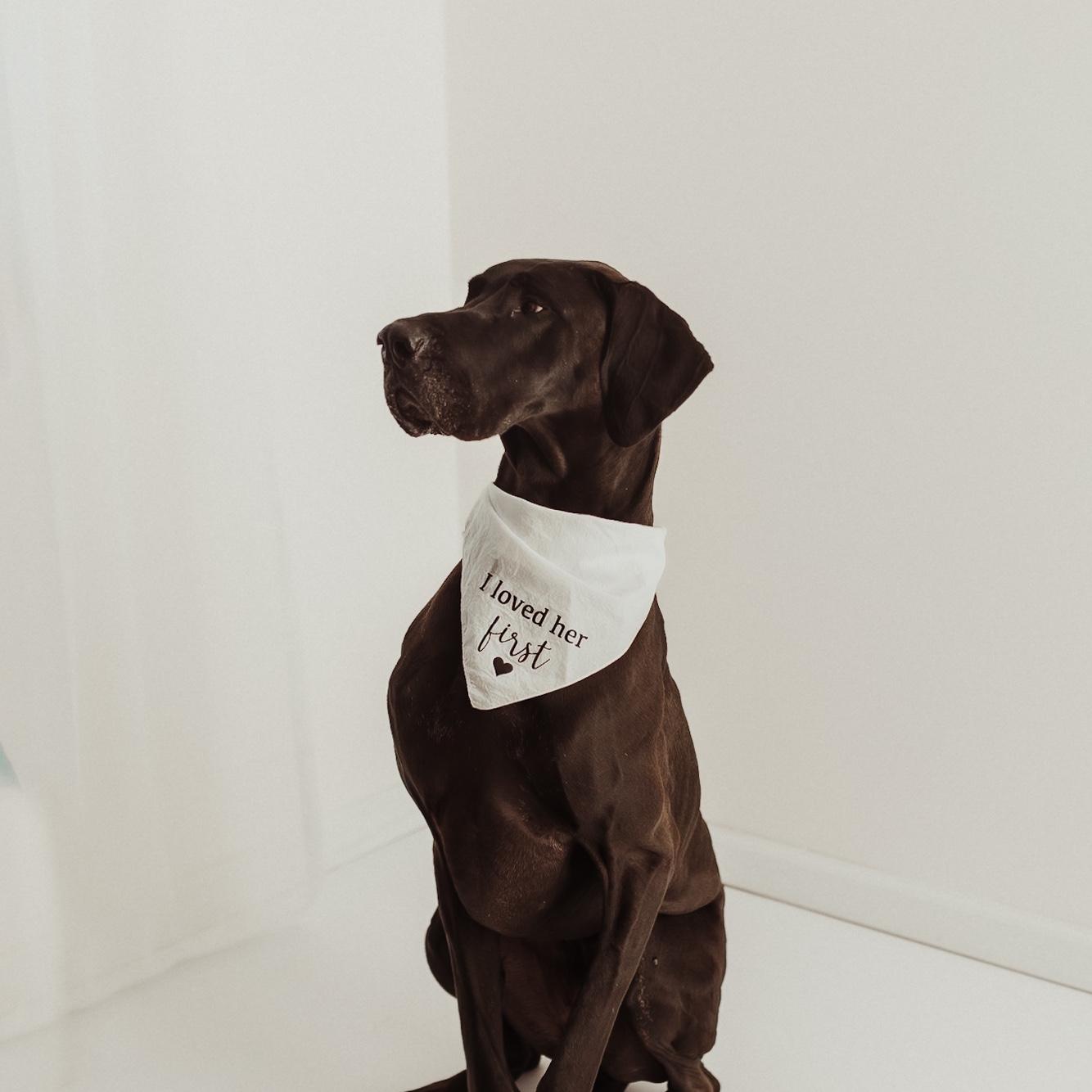 Mabel Lu 🐾