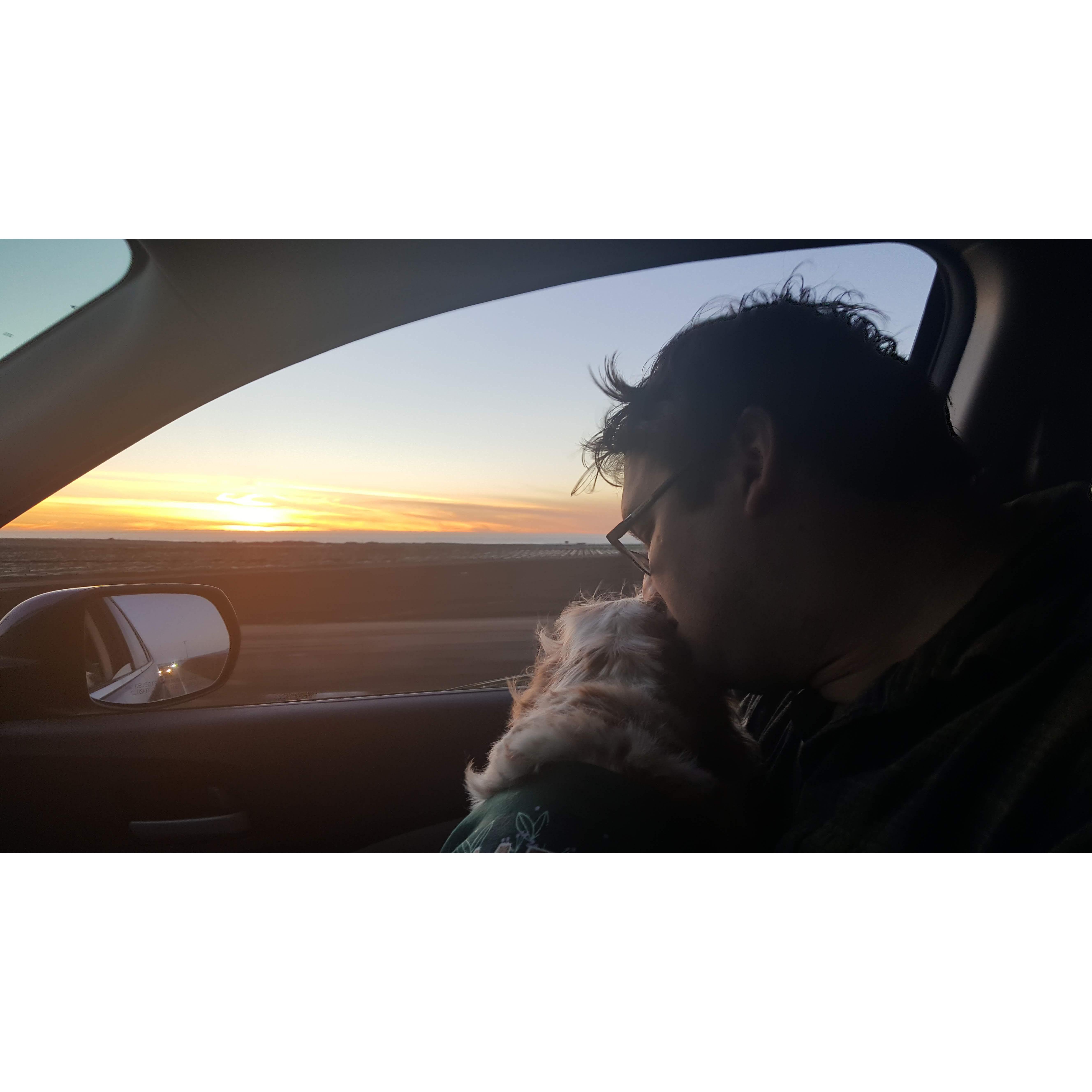 On the way home from Santa Cruz at sunset.