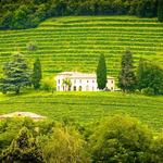Healdsburg, Sonoma County