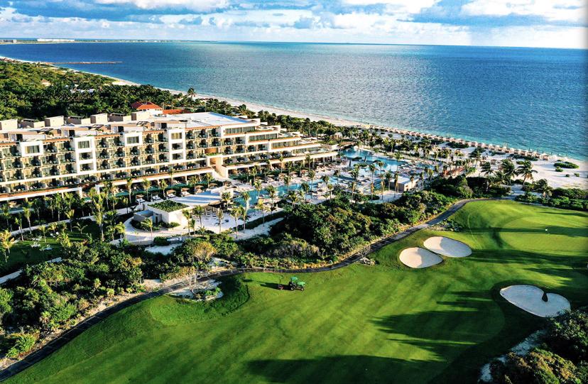 The Wedding Website of Alma Martinez and Alexander Cartagena