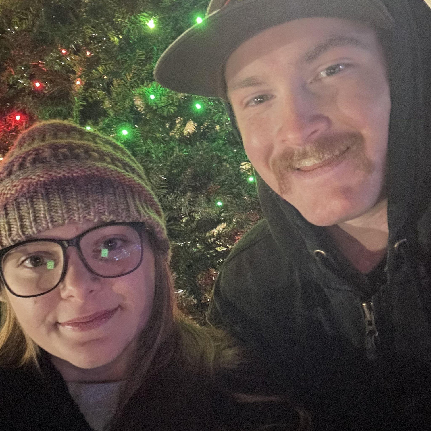Christmas lights and cow petting zoo