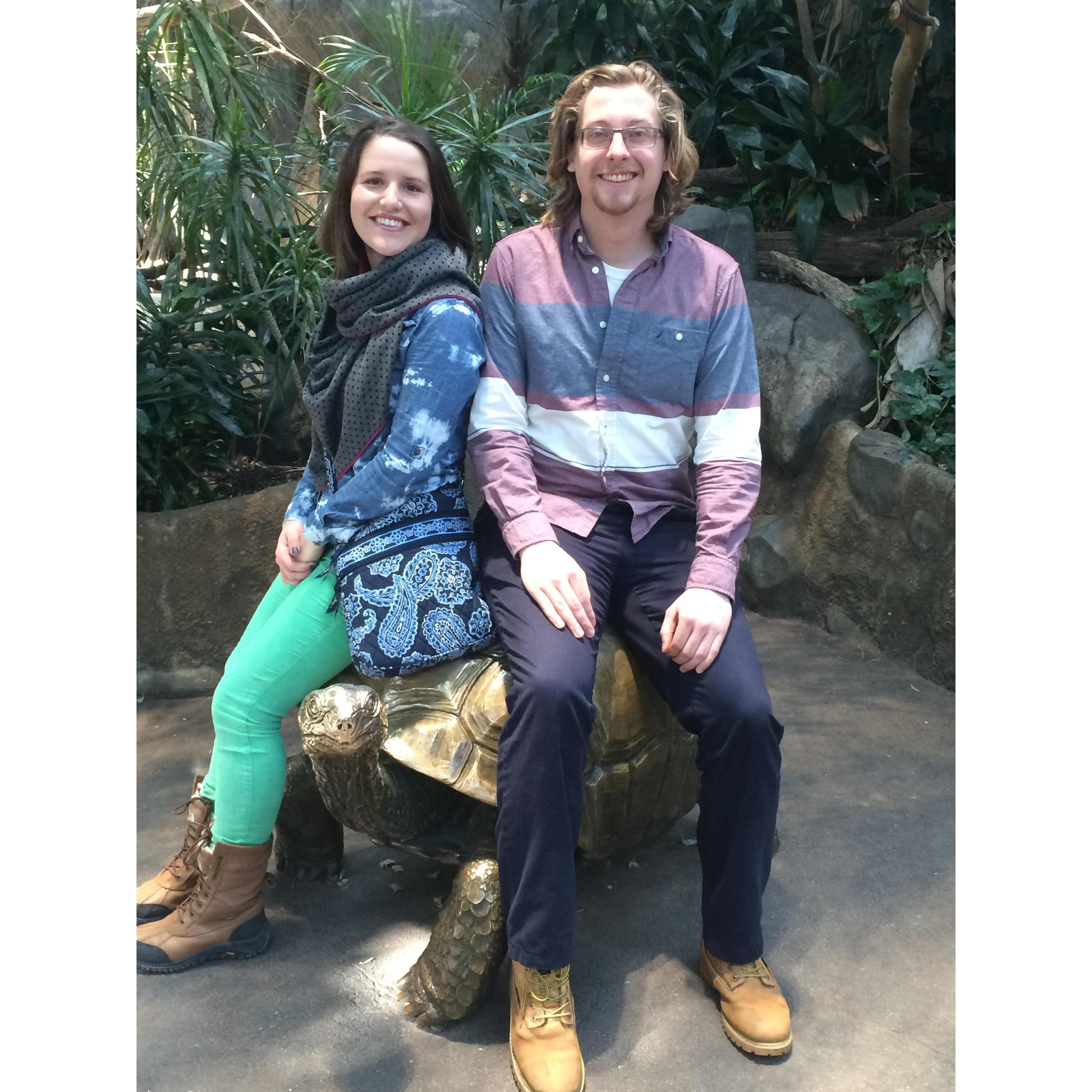 For our 1 year anniversary we went to the MN Zoo!