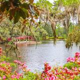 Airlie Gardens