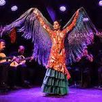 Cardamomo Tablao Flamenco