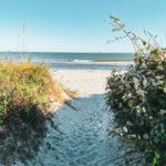 Sullivan's Island