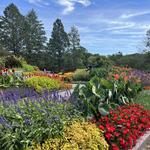 Minnesota Landscape Arboretum