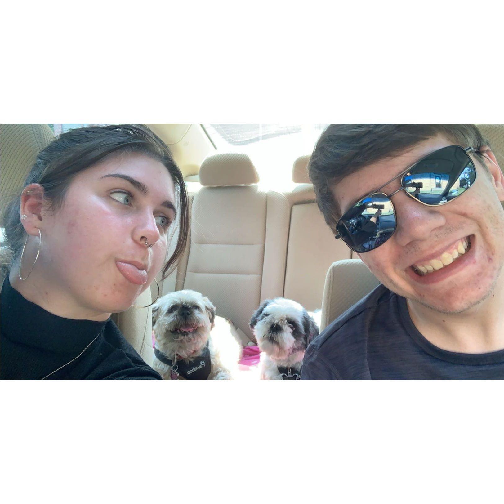 Taking the dogs on a ride!