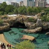 Houston Zoo