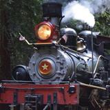 Roaring Camp Railroads
