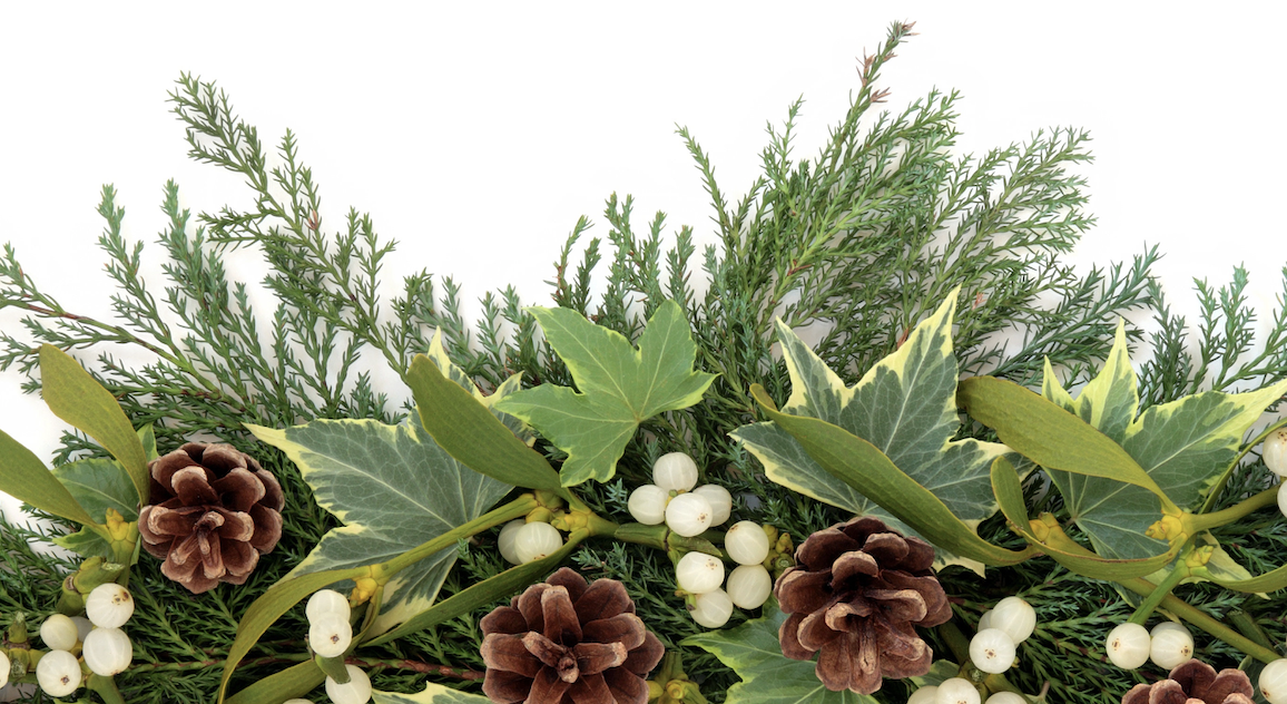 Footer image