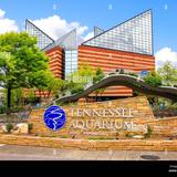 Tennessee Aquarium