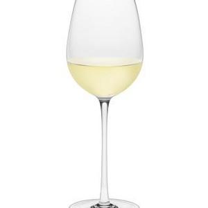 Williams Sonoma Reserve Sauvignon Blanc Glasses, Set of 2