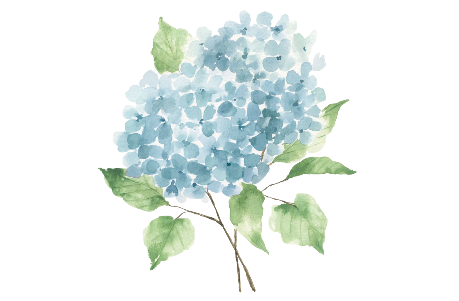 The Wedding Website of Alexa DeFulgentis and Joshua Custer
