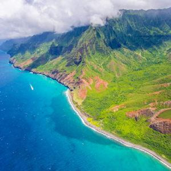 Round Trip Travel for our Honeymoon!