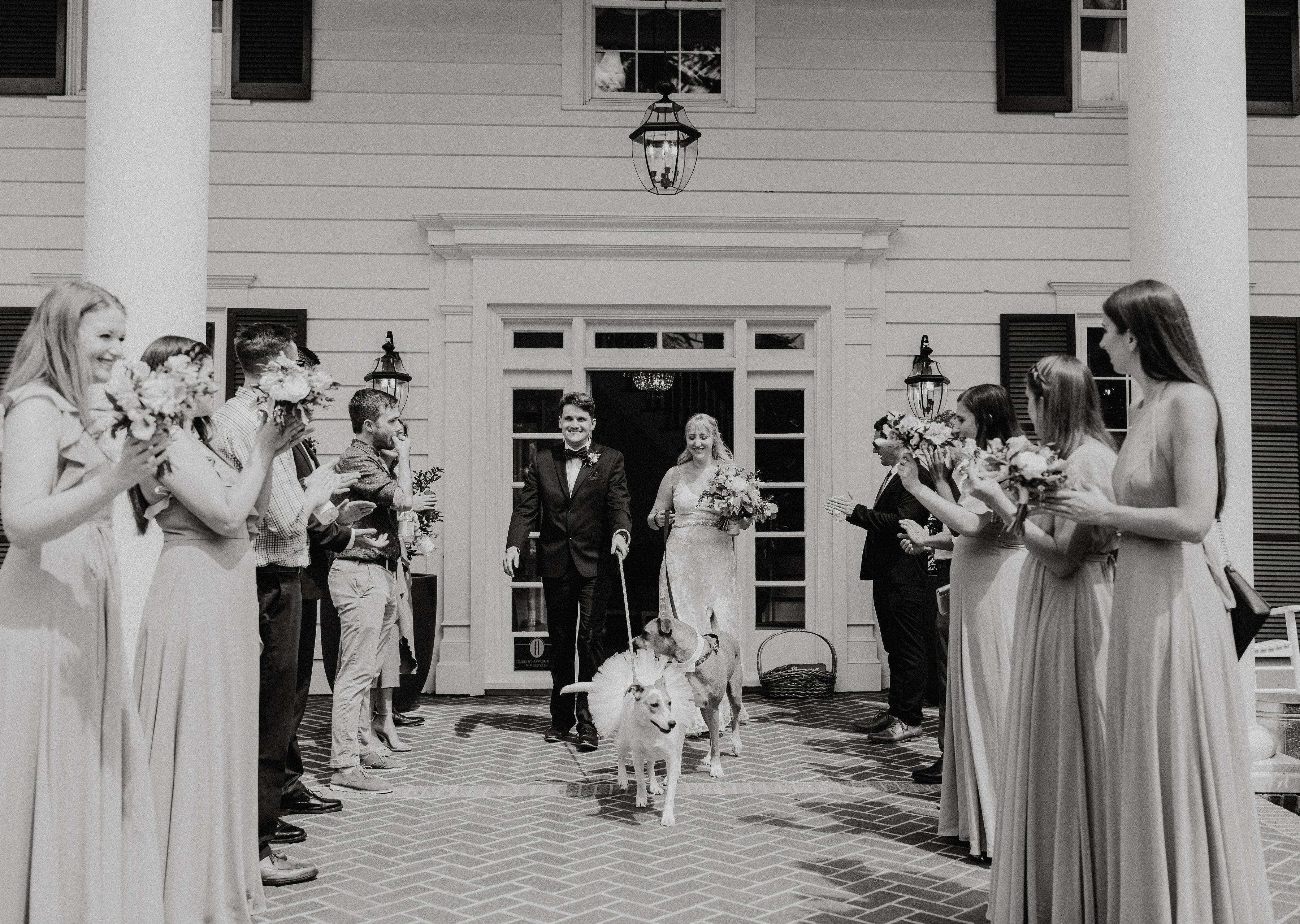 The Wedding Website of Rhi Stepien and Casey Johannesen