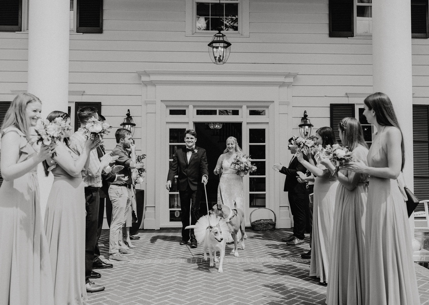 The Wedding Website of Rhi Stepien and Casey Johannesen
