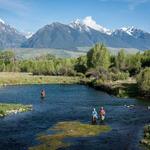 Fly Fishing with Freestone Fly Shop