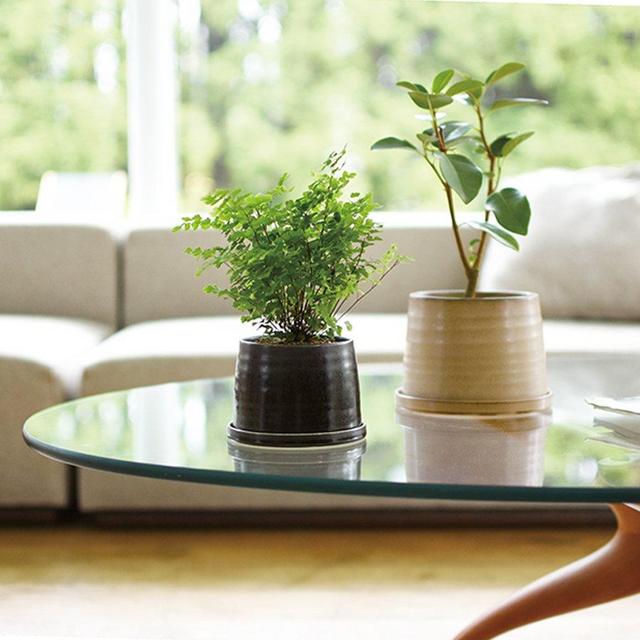 Beige PLANT POT 192_ 125mm / 5in