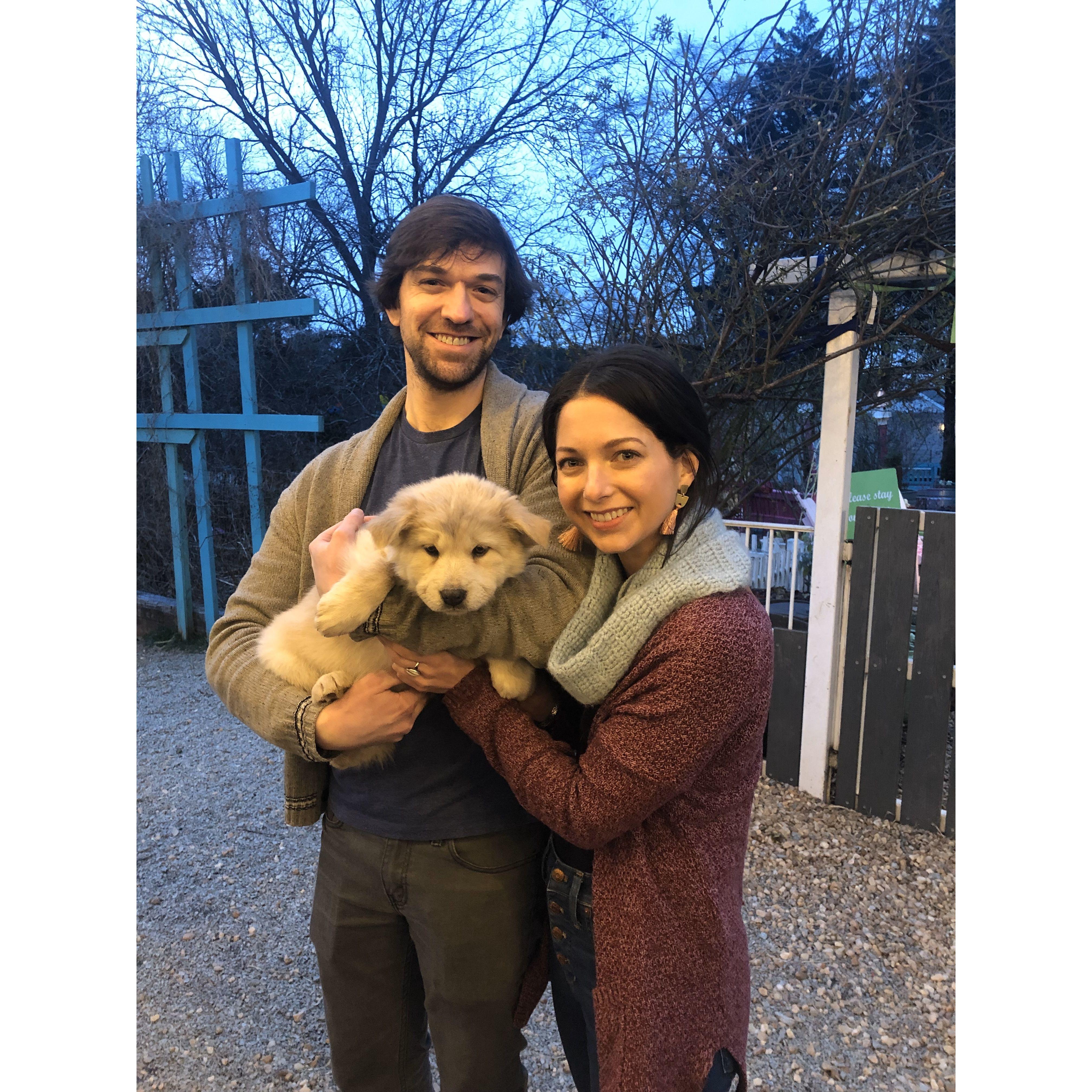 Adopting Roy!