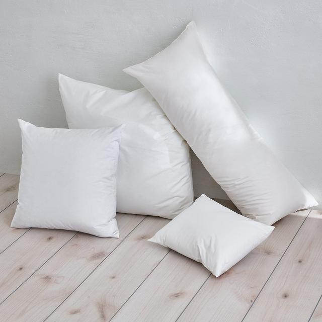 Euro Pillow Inserts