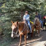 Keystone Stables