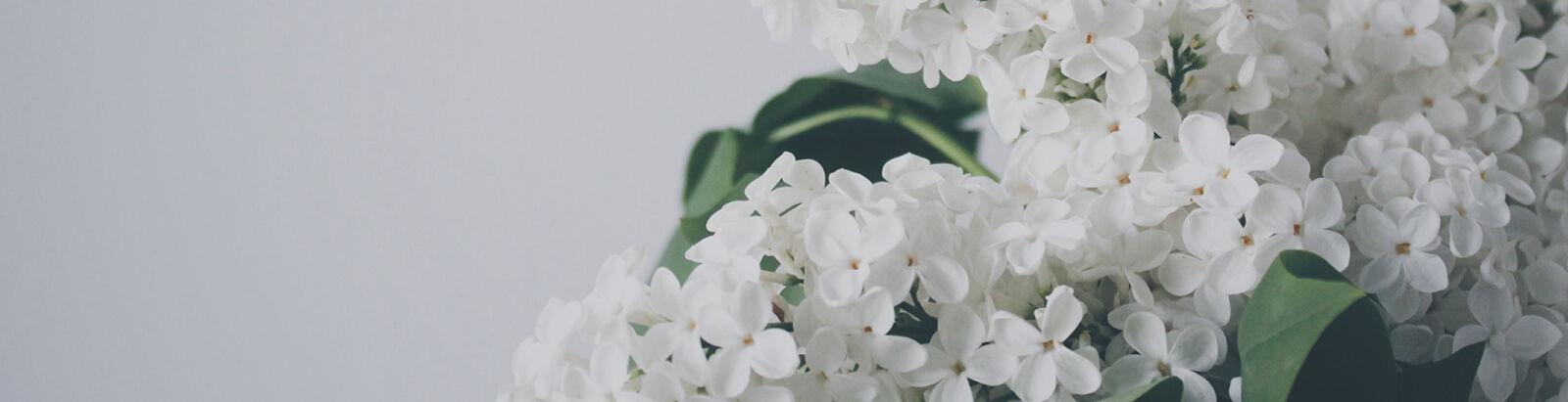 9139a86d-d801-4eed-8ed6-6d8b7681f3fb