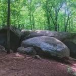 Big Rock Nature Preserve