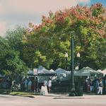 Dunedin Downtown Market
