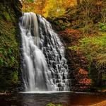 Falling Foss Tea Garden / Beck Hole